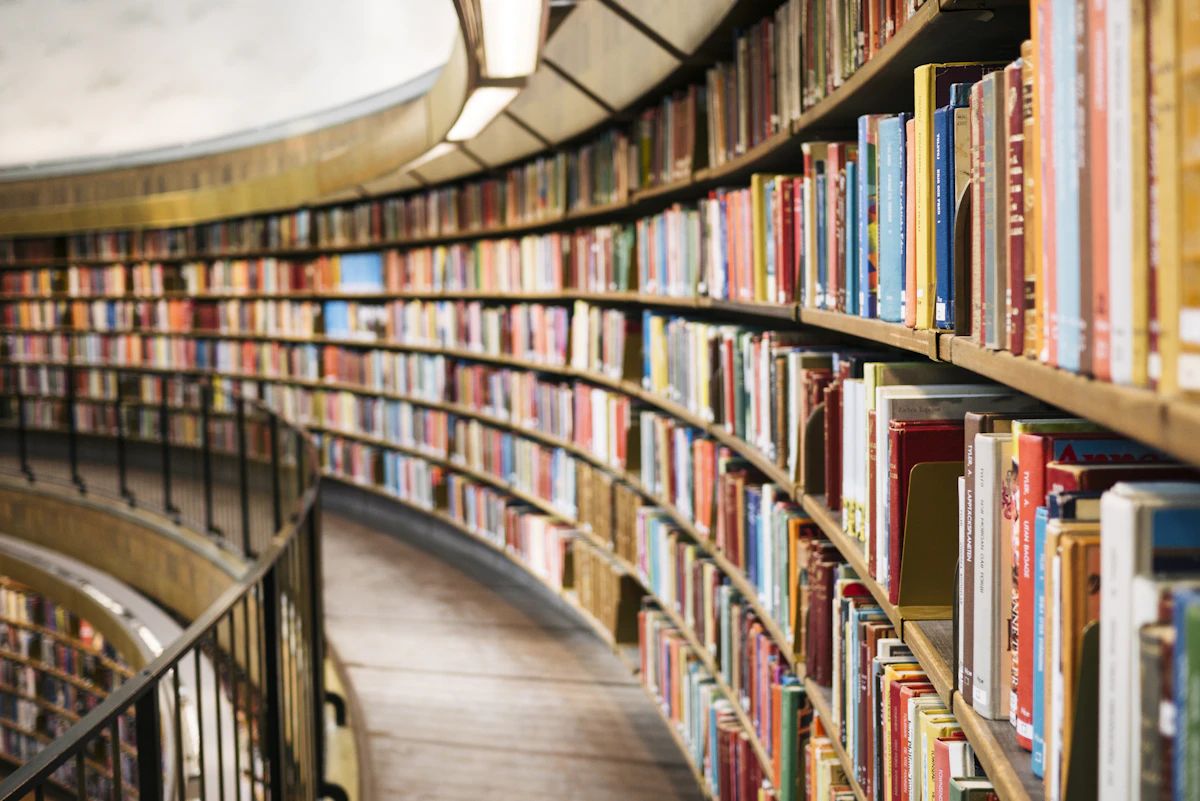 Estante de livros em uma livraria aconchegante